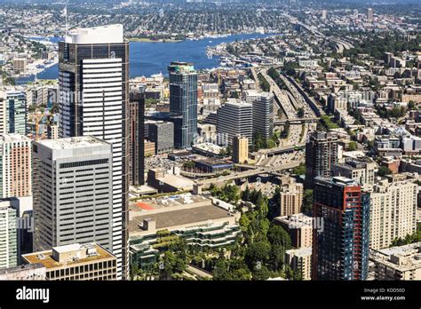 city of seattle business lookup.